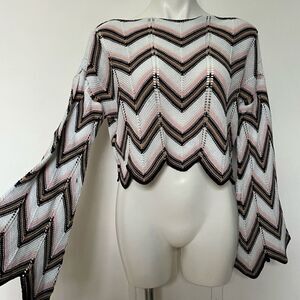 Audrey Parks Francesca’s Crochet Knit Flare Sleeve Crop Top